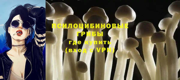 гидропоника Абинск