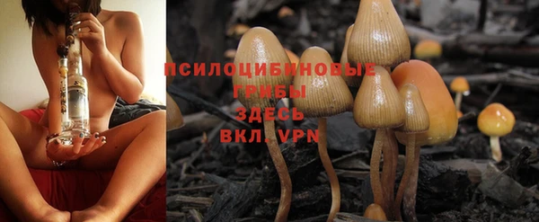 бошки Лагань